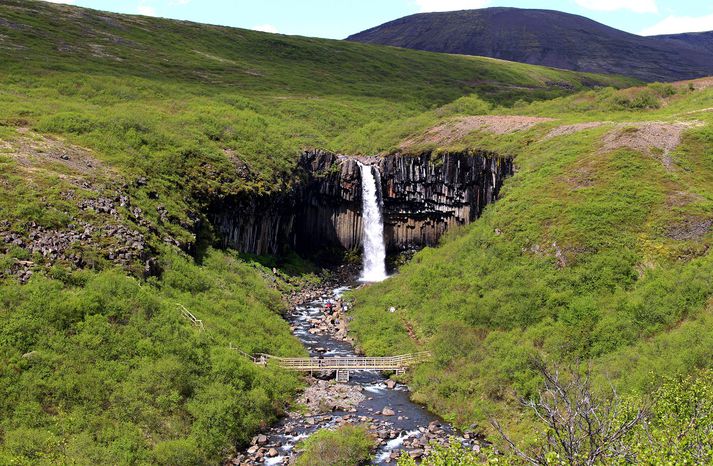 Til að byrja með verður hafin gjaldtaka í Skaftafelli og við Dettifoss og er áætlað að hún hefjist nú í júní.