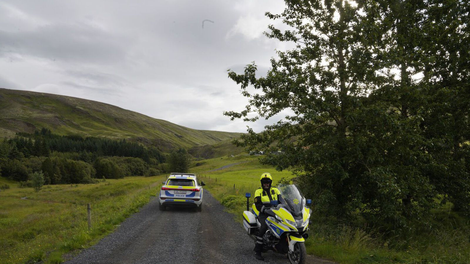 Allir á hlaupum að reyna fanga minka