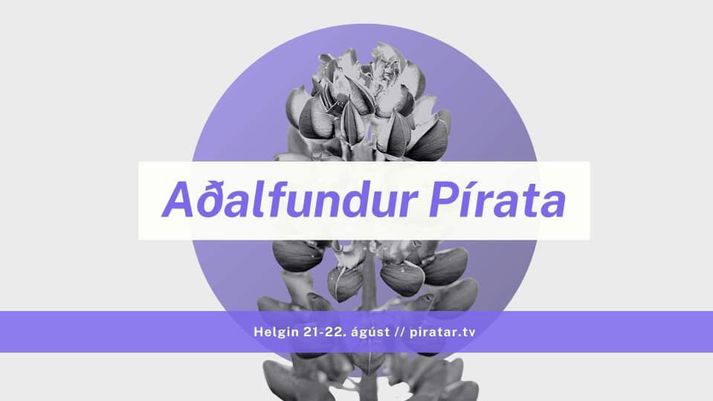 Aðalfundur Pírata fer fram í dag og á morgun.