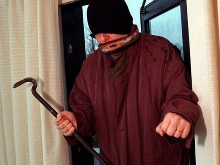 Innbrotsþjófar voru á kreiki í nótt.