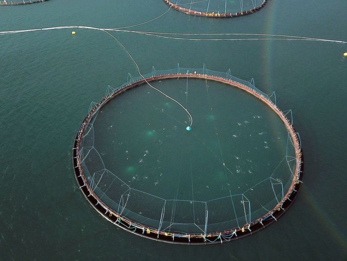 Laxar höfðu áður leyfi til sex þúsund tonna fiskeldis en sóttu síðar um 10 þúsund tonna stækkun. Myndin er úr safni og tengist fréttinni ekki beint.