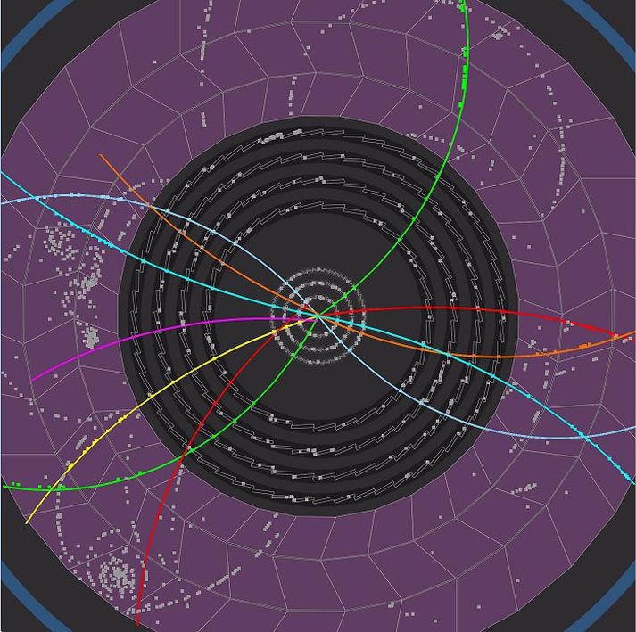 róteindaárekstur Þessi mynd frá CERN sýnir ummerki um hegðun og hreyfingu öreinda í kjölfar árekstrar tveggja róteinda. Vísindamenn CERN leita nú að ummerkjum um Higgs-bóseindina.Fréttablaðið/AP