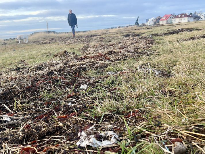 Pappír og úrgang er að finna í fjörborðinu við Ægisíðu.