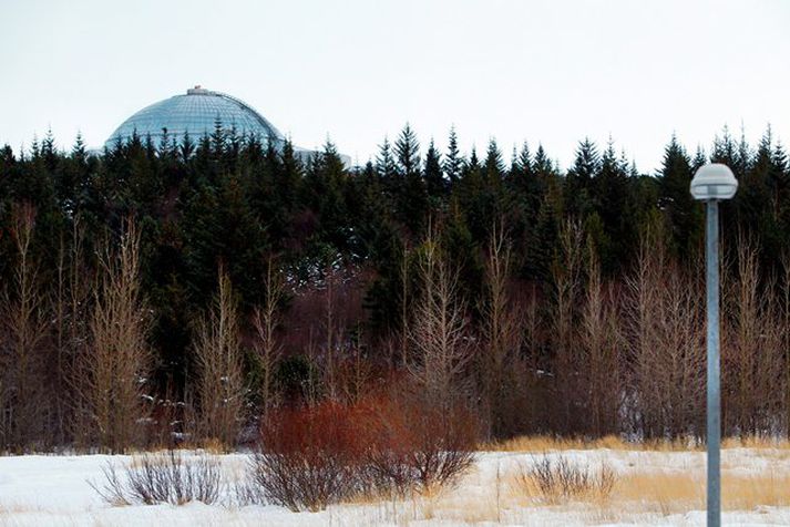Skóginum í Öskjuhlíð hefur verið bjargað.
