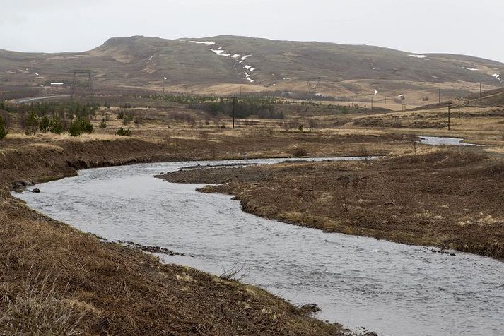 Til stendur að bora í Þormóðsdal næsta sumar og gera frekari rannsóknir á gullmagni í jarðvegi.