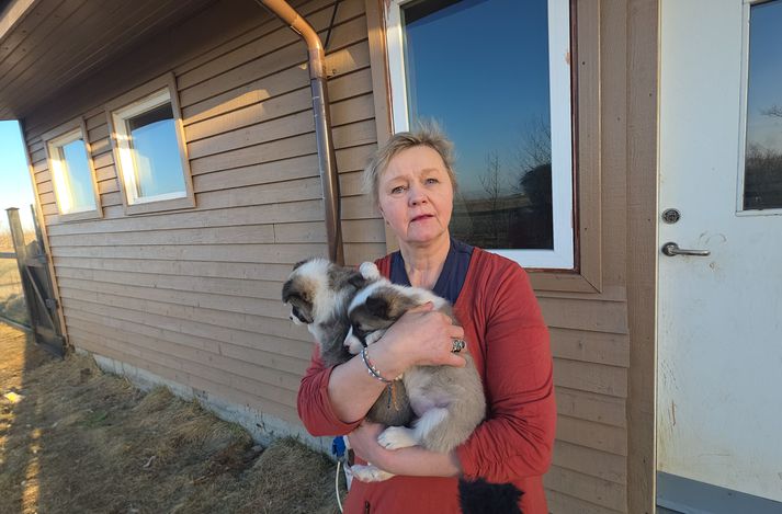 Guðný Halla með tvo af hvolpunum ellefu.