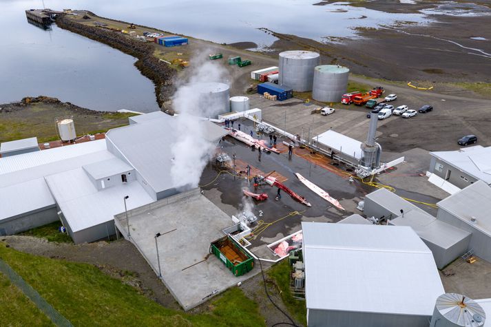 Frá Hvalfirði.