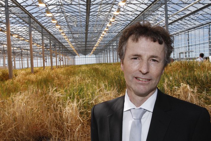 Björn Lárus Örvar segir að húsin séu sterkbyggð. Mynd/ Stefán.