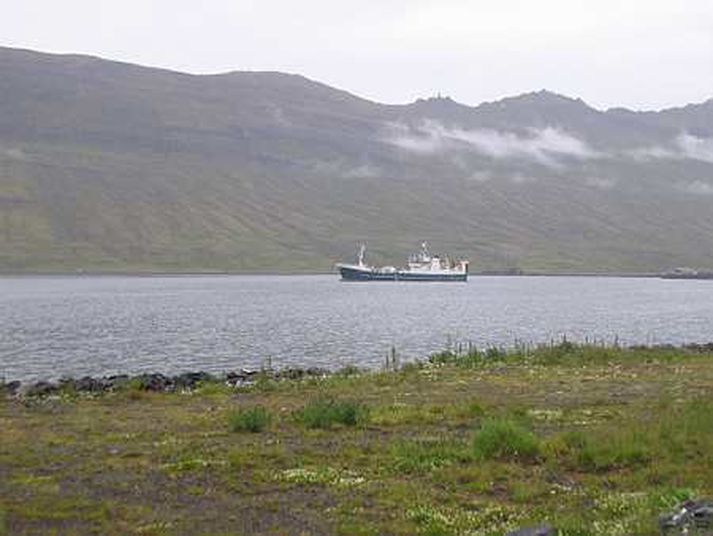 Síldveiðiskipið Börkur NK