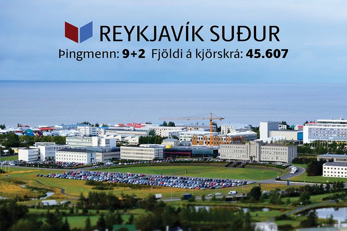 Ellefu þingsæti eru í boði í Reykjavíkurkjördæmi suður.