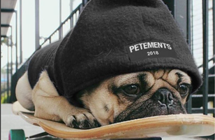 Fréttamynd