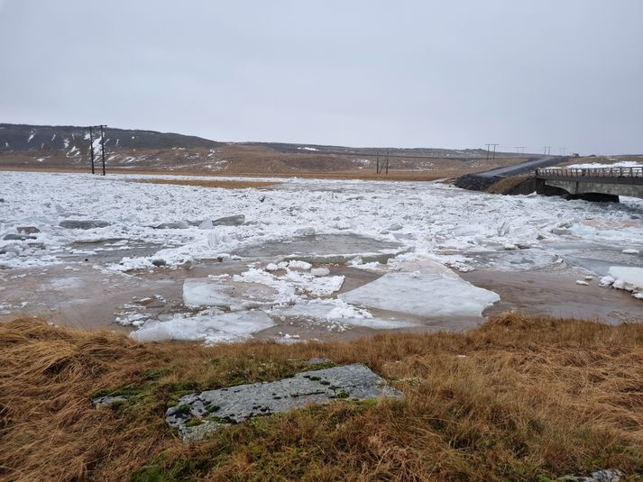 Brúin stóð af sér flóðið.