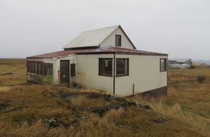 Fréttamynd