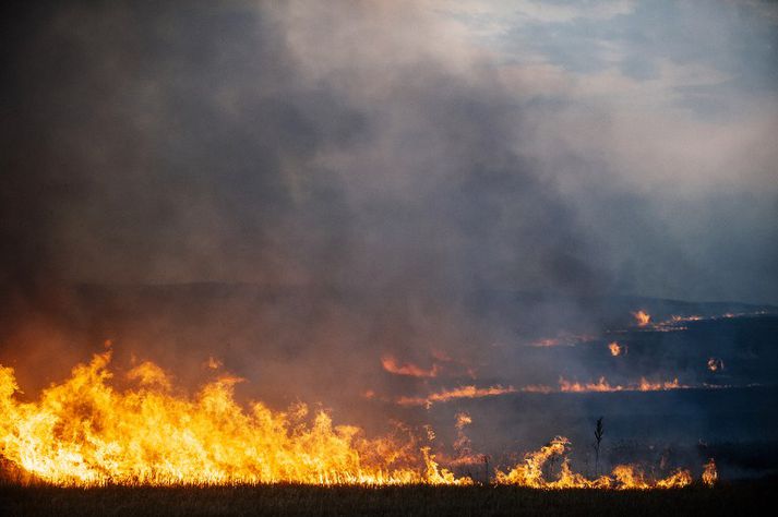 Vélin var skotin niður í austurhluta Úkraínu, nærri bænum Zhdanivka.