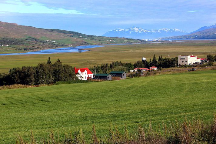 Bændur í Eyjafirði náðu lægra raforkuverði í útboði.