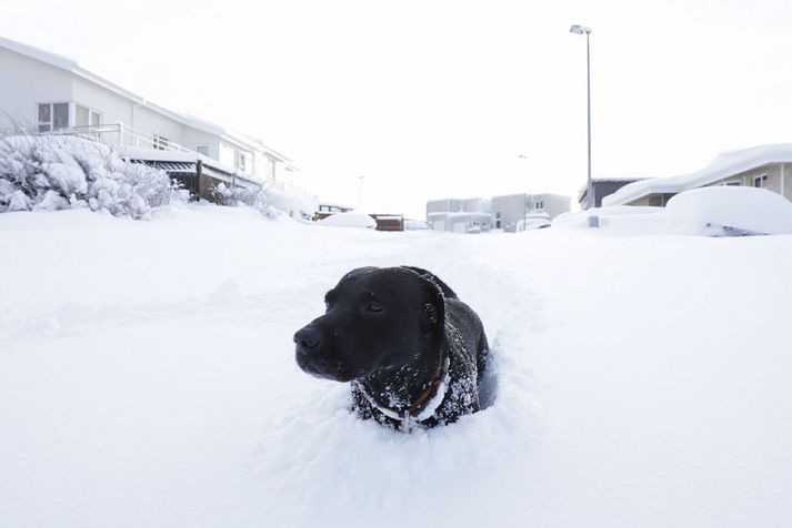 Ófært er á höfuðborgarsvæðinu vegna mets í snjódýpt.