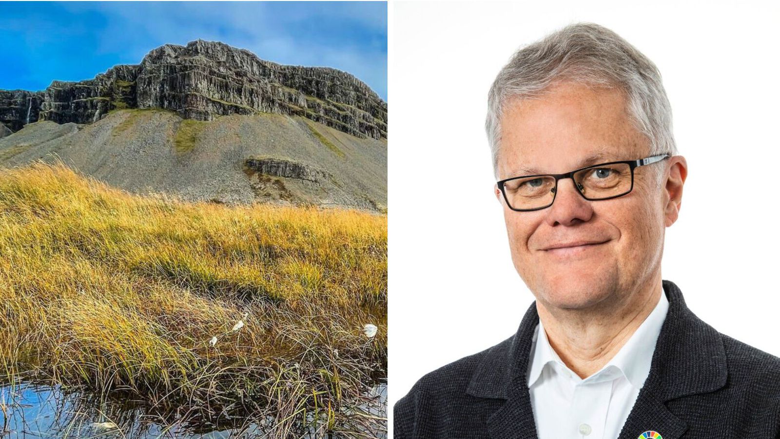 Endur­reisn mýranna megi ekki bíða lengur
