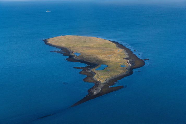 Konan virðist hafa dvalið í Engey í þónokkra stund.