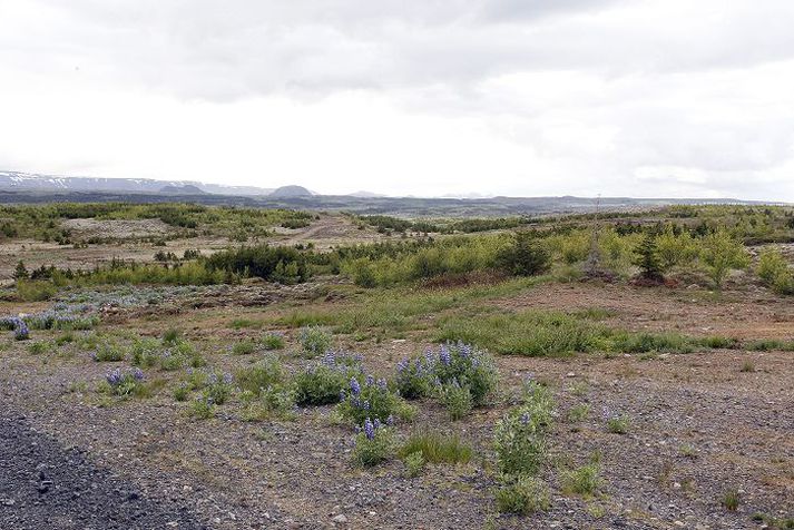 Á Hólmsheiði Svona er umhorfs þar sem nýtt fangelsi á að rísa, skammt austan Rauðavatns í nágrenni borgarinnar. Til að komast að fangelsinu er ekið út af Suðurlandsvegi eins og halda eigi á Nesjavelli og er þá afleggjarinn að lóðinni skammt undan.Fréttablaðið/Pjetur