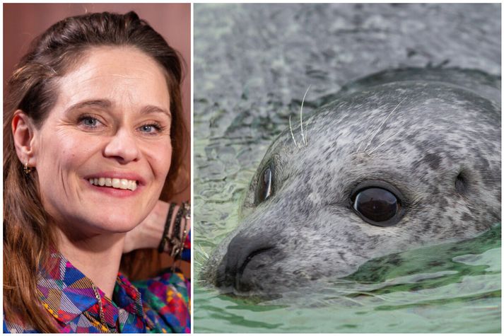 Líf Magneudóttir, oddviti Vinstri grænna, segir ekki standa til að forgangsraða selahaldi fram yfir íþróttastarf.
