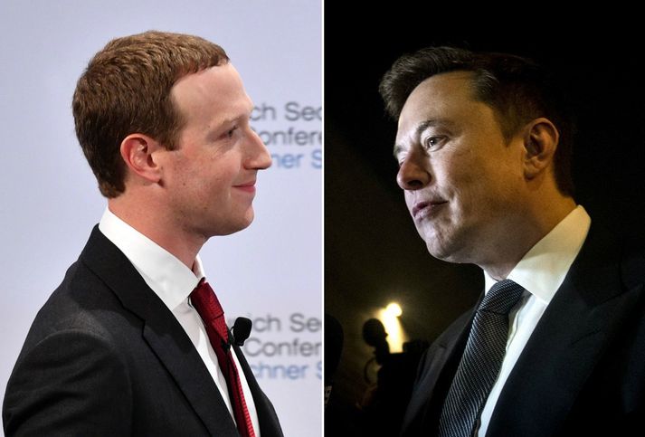 Mark Zuckerberg og Elon Musk.