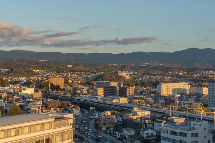 Árásin átti sér stað í borginni Mishima í Japan.