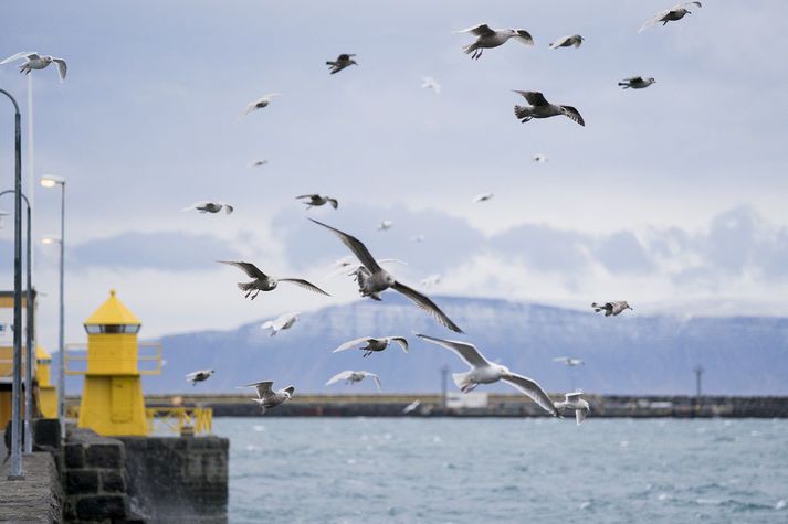 Viðbúnaðarstig hefur verið hækkað.