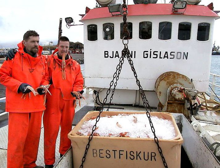 Humarveiði - stærri humar veiðist í upphafi vertíðar og virðist þó nokkuð af honum á miðunum. Strákarnir á Bjarna Gíslasyni SF eru með afla á myndinni