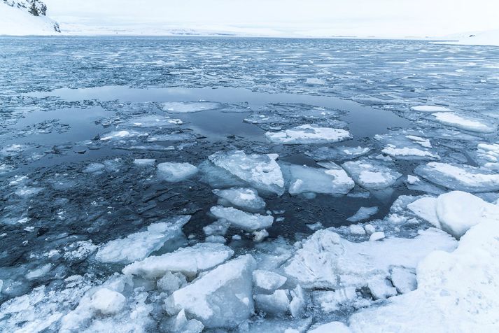 Flugvélin fannst í Þingvallavatni og voru allir látnir um borð. Vatnið er enn ísi lagt og ólíklegt að það opnist á næstunni að sögn lögreglu.