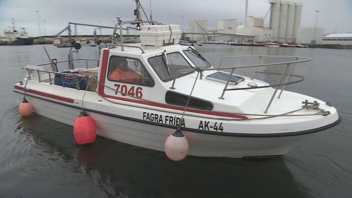 Fagra Fríða í Akraneshöfn í gærkvöldi. Sigfús Jónsson strandveiðisjómaður við stýrið.