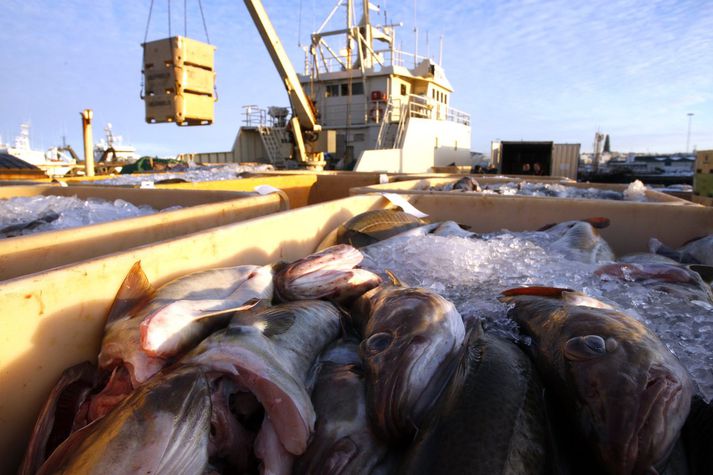 Gengisstyrking krónunnar skýrir ekki verðfallið á fiskmörkuðum að öllu leyti. Verðið hefur lækkað um meira en 50 prósent milli ára.