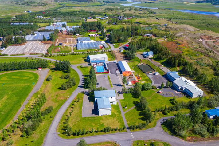 Frá Reykholti á Suðurlandi. 