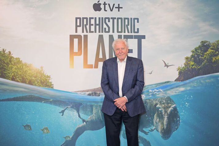 Rödd náttúrufræðingsins David Attenborough þekkja margir.