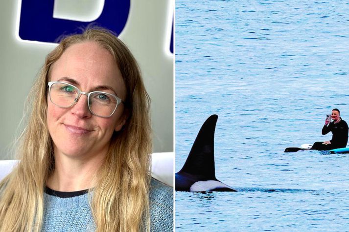 Edda Elísabet Magnúsdóttir hvalasérfræðingur varar við sundi með hvölum. 