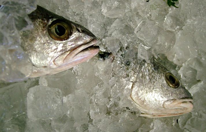 Vísindamennirni komust að því að konur sem sjaldan átu fisk voru 90% líklegri til að þjást af hjartasjúkdómum en þær sem borðuðu fitugan fisk reglulega.