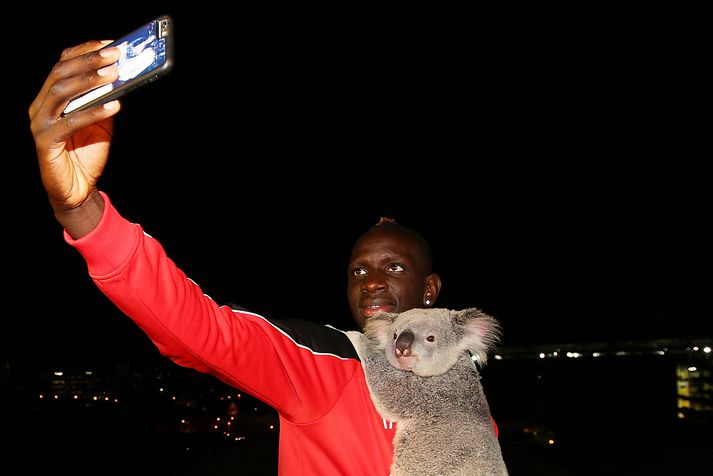 Sakho hér með kóalabirni í Ástralíu.