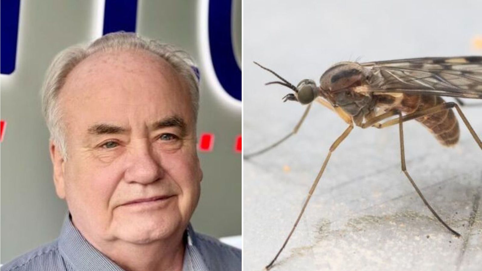 „Ég er ekki búinn að af­skrifa hana“