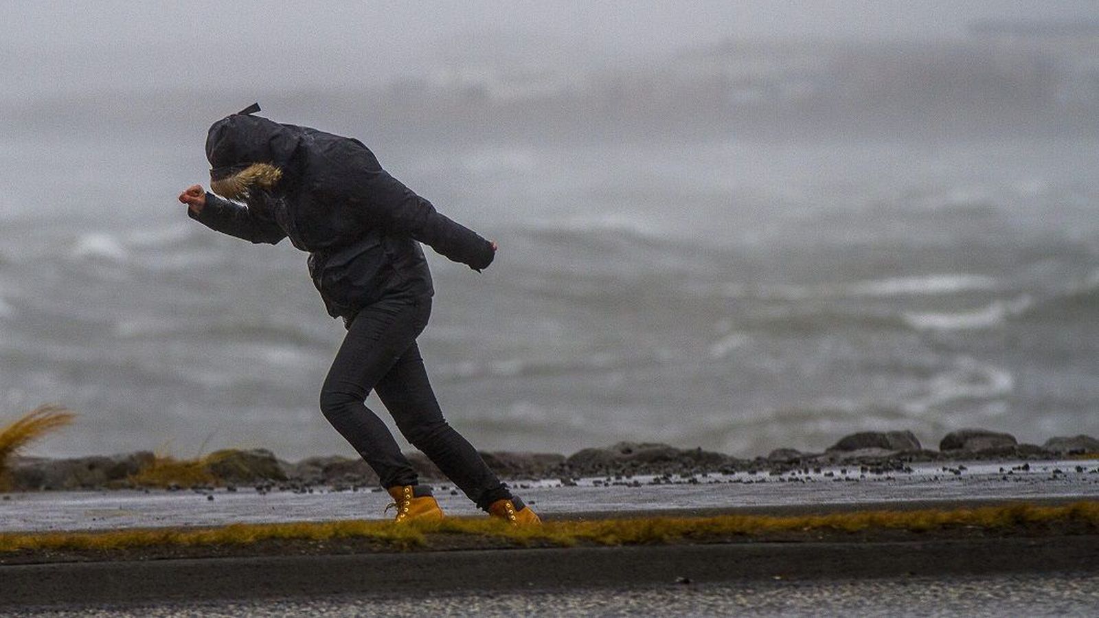 Бег против ветра глава 24. Бег в тени. Бег против ветра глава 24. Бег против ветра глава 24. Человек против ветра.