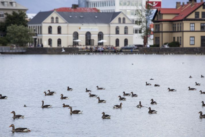 Kveikt verður á kertum við Reykjavíkurtjörn í minningu Klevis Sula.