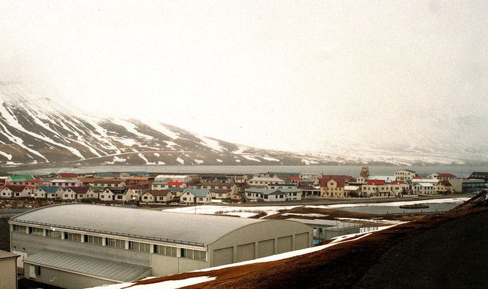 Hlyni var gefið að sök að hafa stungið manninn með hnífi í vinstri öxl, ofarlega hægra megin í brjóstkassa, við hægri mjaðmarspaða og neðarlega í hægri síðu.