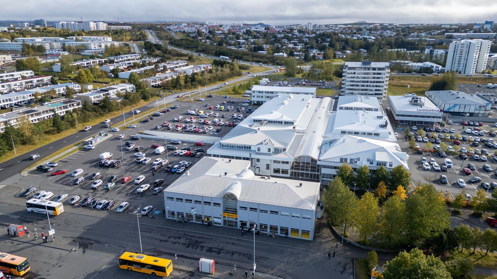 Steig út úr strætó og fékk gangstéttarhellu í höfuðið - Vísir
