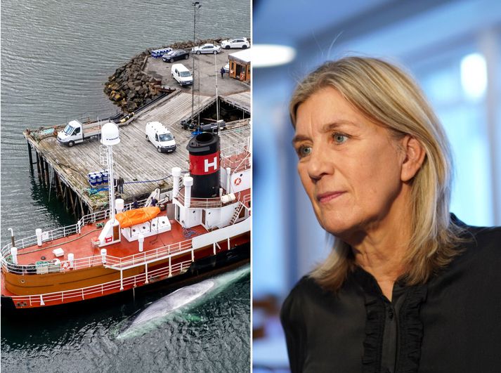 Hanna Katrín Friðriksson, atvinnuvegaráðherra, segir að frumvarp um hvalveiðar verði líklega lagt fram á næsta þingi. 