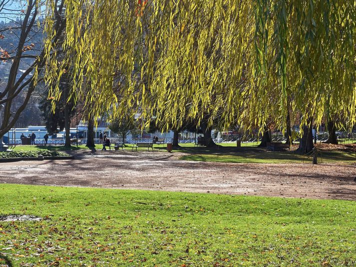 Úr almenningsgarðinum Jardins de l'Europeí Annecy. 