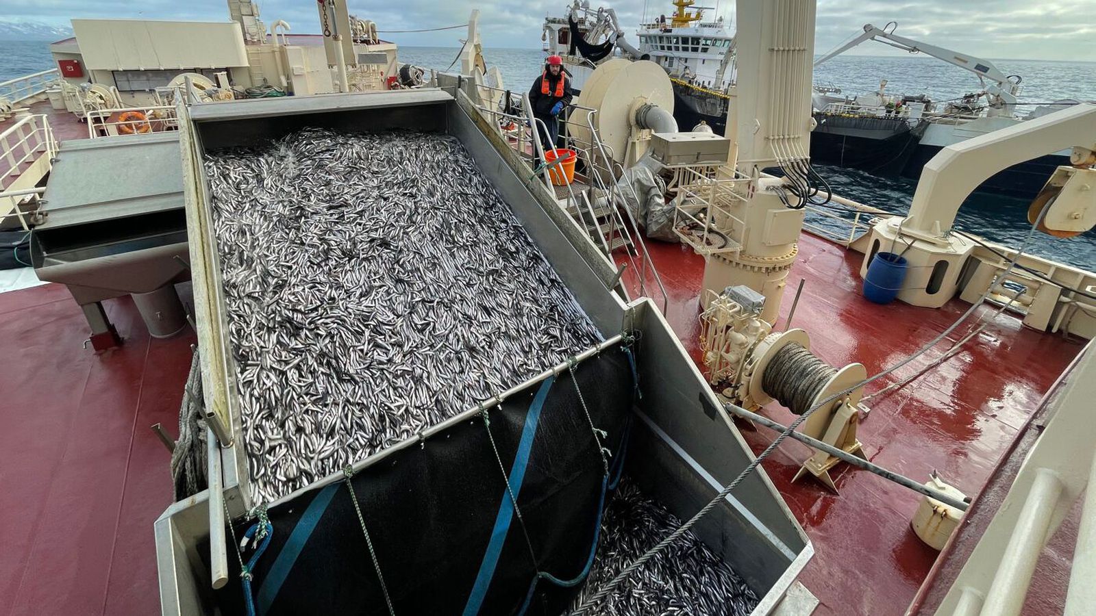 Ís­landi lýst sem „nú­tíma fámennisveldi“ uppfullu af spillingu