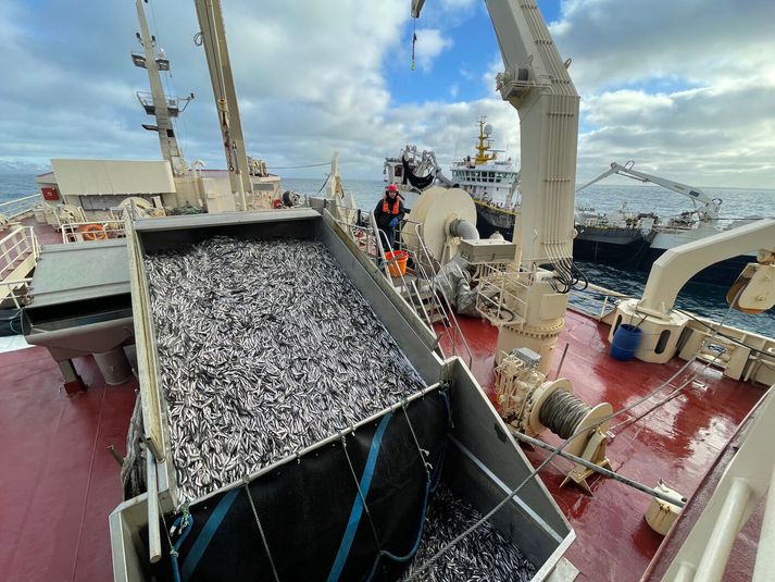 Ljósmyndin kemur úr safni. 