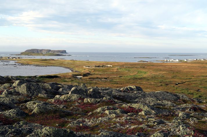Frá L'Anse aux Meadows nyrsta hluta Nýfundnalands í Kanada. Þar fundust fornleifar eftir víkinga árið 1960.