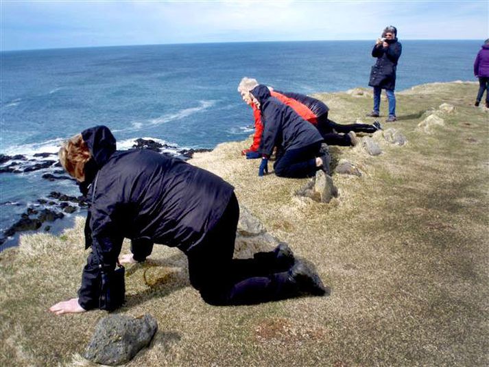 Sunnlensku húsmæðurnar fóru sér að engu óðslega við Látrabjarg í orlofsferðinni í fyrravor.