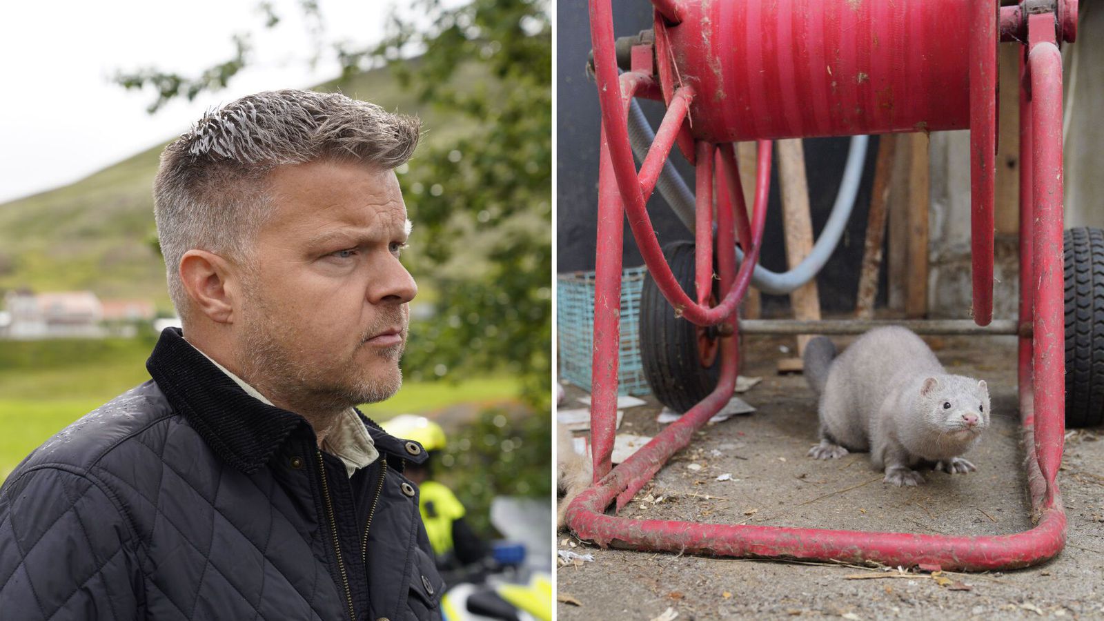 Fleiri en einn hafi verið að verki