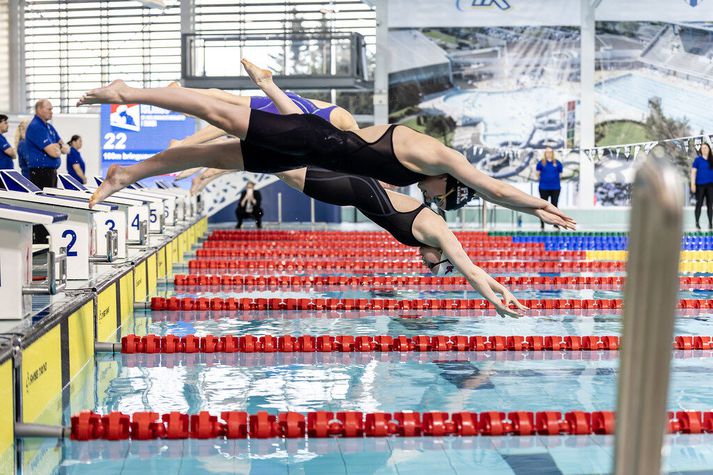 Keppendur stinga sér til sunds.