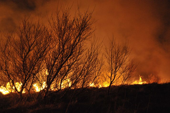 Það var síðast í gær sem barist var við sinueld, en þá kviknaði í sinu í Skorradal.